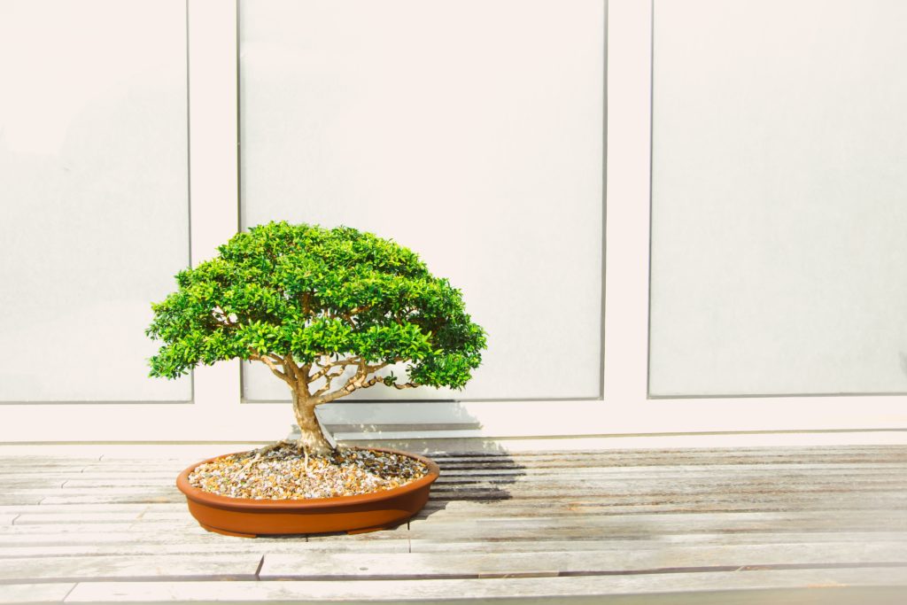 The Largeness of a Little Life